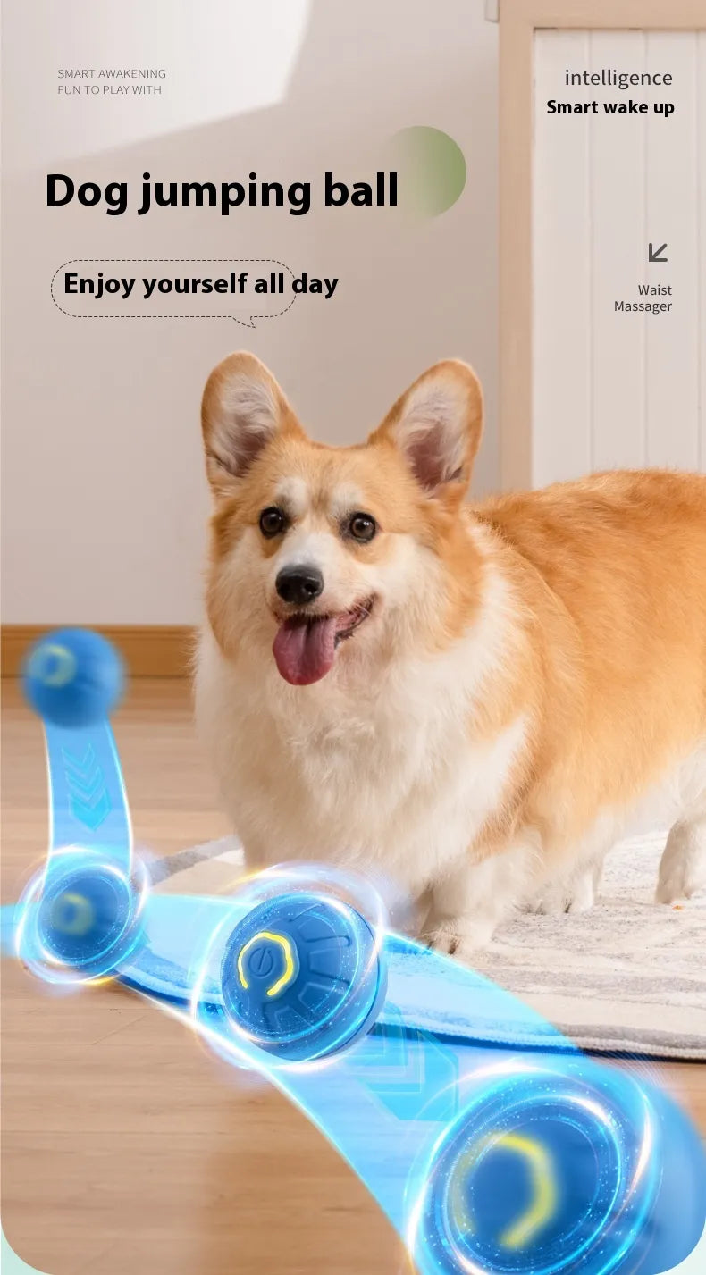 The Kanino Play Ball — Smart Interactive Dog Toy