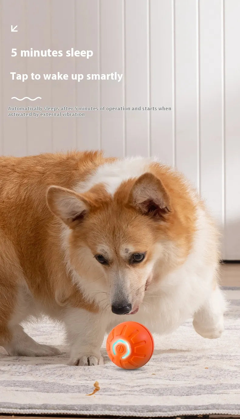 The Kanino Play Ball — Smart Interactive Dog Toy